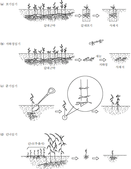 원문 그림