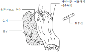 원문 그림